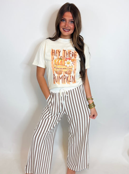 Hey There Pumpkin Tee