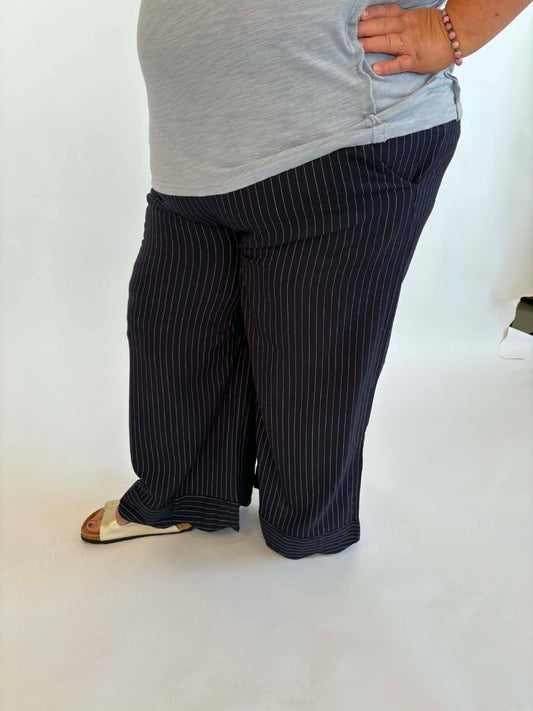 Plus Navy Pinstripe Pant
